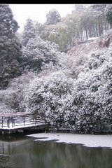 正月三日同莫干祝法游東西園